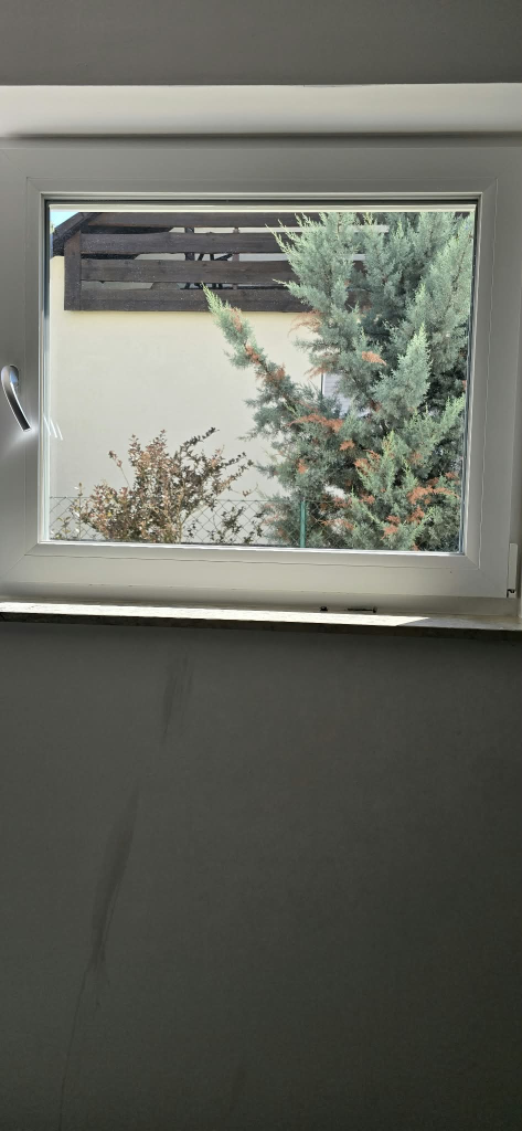 Fenster Nachher